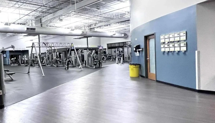 Golds Gym San Antonio Alamo Heights Promotion - San Antonio