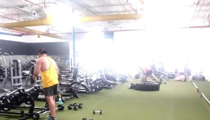 Golds Gym Taylor Area - Taylor