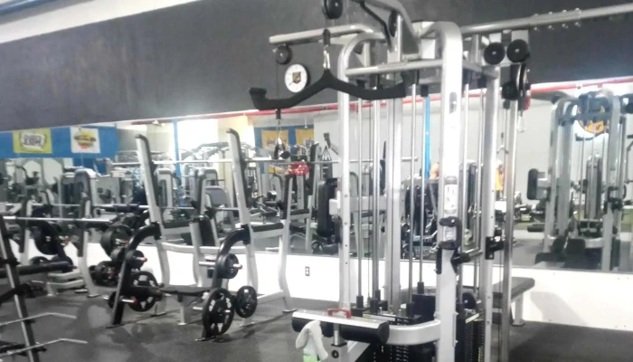 Golds Gym Taylor Discounts - Taylor