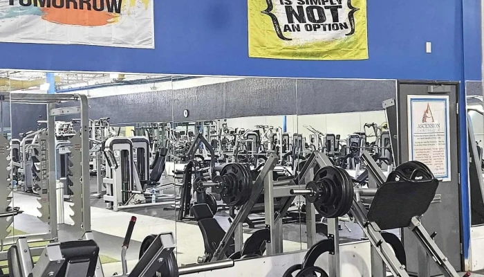 Golds Gym Taylor Videos - Taylor
