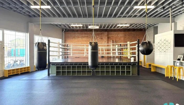 Gopa Boxing Club -  All - Oakland