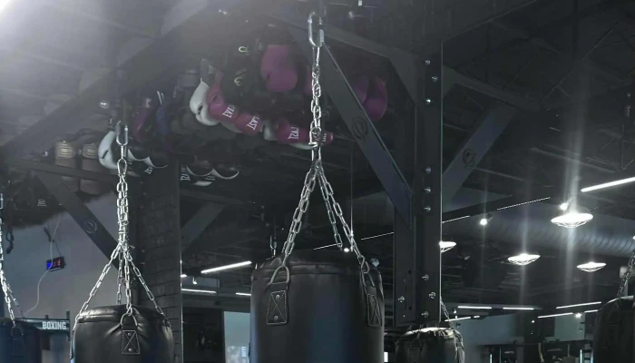 Gotham Gym Miami -  Instagram - Miami Beach