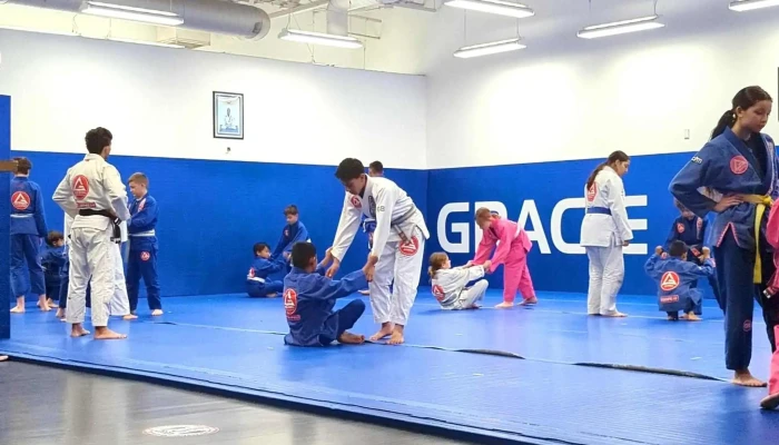 Gracie Barra Ahwatukee Brazilian Jiu -  Jitsu And Self Defense Phone - Phoenix
