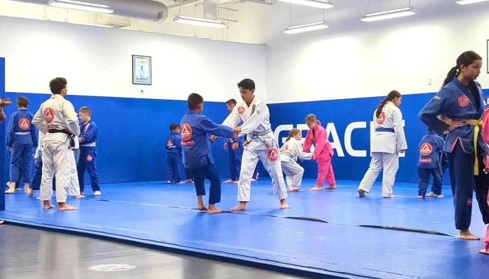 Gracie Barra Ahwatukee Brazilian Jiu -  Jitsu And Self Defense Reviews - Phoenix