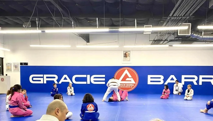 Gracie Barra Jiu Jitsu In Aliso Viejo -  Area - Aliso Viejo