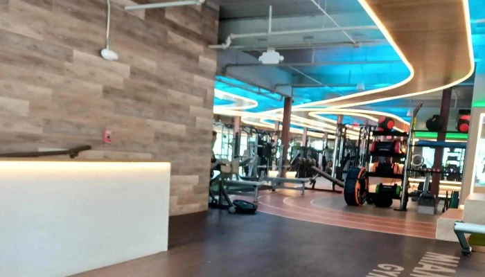 Gymage Miami -  Catalog - Miami Beach