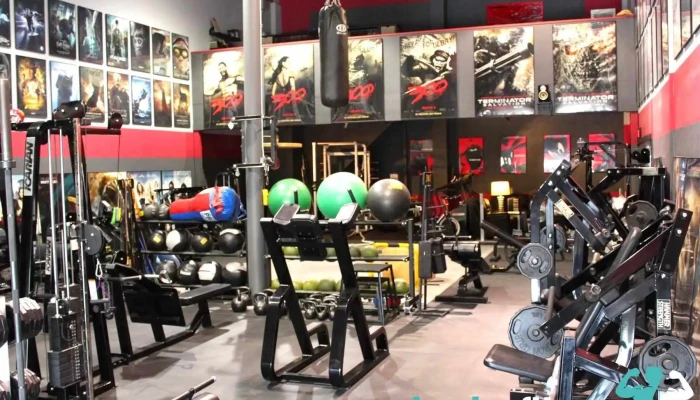 High Octane Training Center -  Exercise Machine - Stateline