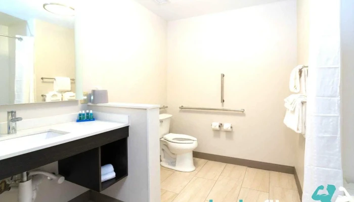 Holiday Inn Express Suites Allen Park By Ihg By Owner - Allen Park