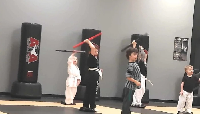 Impact Ata Martial Arts -  Martial Arts School - Angola