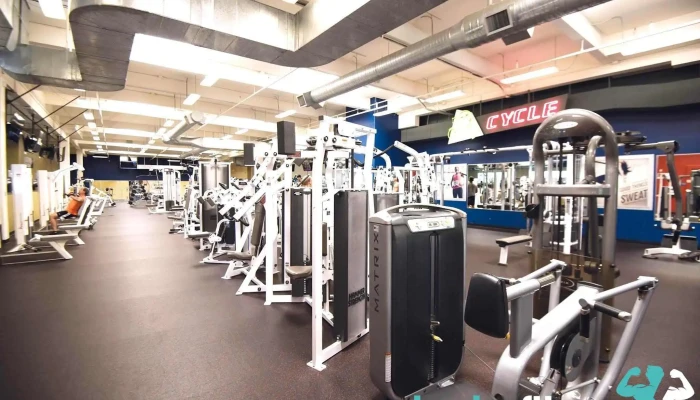 In -  Shape Fitness All - Folsom