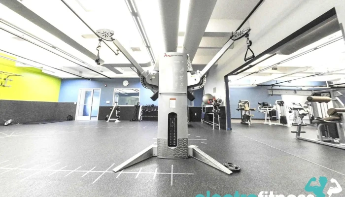 In -  Shape Fitness By Owner - Concord