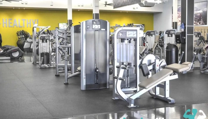 In -  Shape Fitness By Owner - Lodi