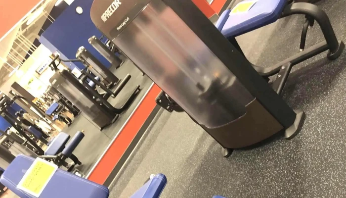 In -  Shape Fitness Comments - Sacramento