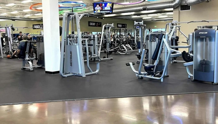 In -  Shape Fitness Schedule - Folsom