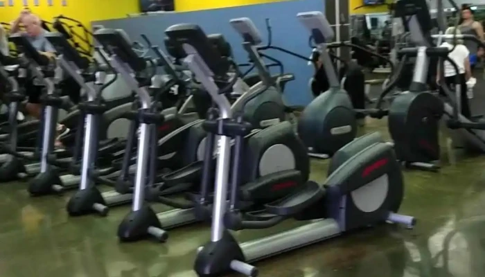 In -  Shape Fitness Videos - Lodi