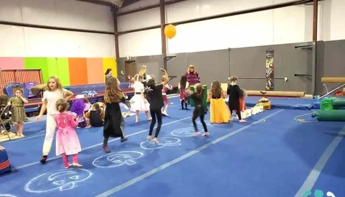 Indiana Elite Gymnastics -  By Owner - Hobart