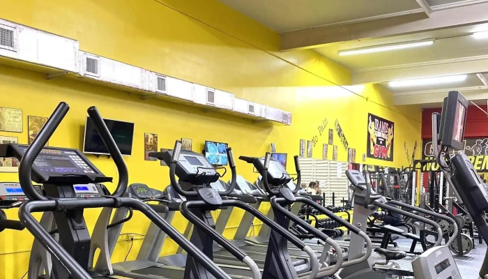 Iramis Gym -  Instagram - Miami