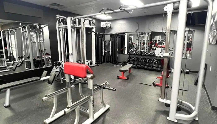 Iron Breed Fitness -  All - Schenectady