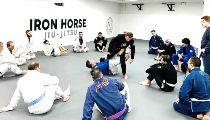 Iron Horse Brazilian Jiu Jitsu -  Martial Art - Alpharetta