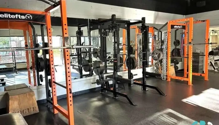 Iron Horse Fitness And Sports Performance -  By Owner - Danville