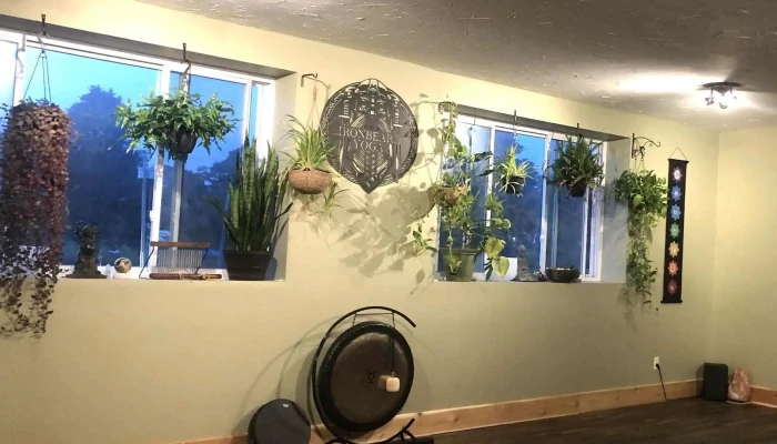 Ironbeard Yoga - Westport