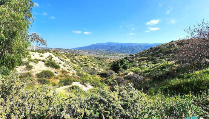 Jojoba Hills Skp Resort -  From Visitors - Aguanga