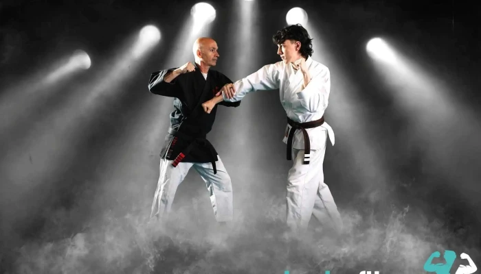 Karate Shorin -  Ryu Westwood All - Palestine