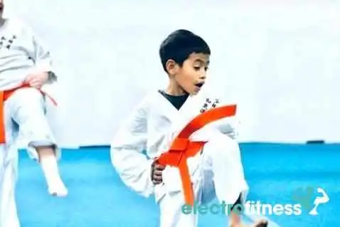 Karate Shorin -  Ryu Westwood By Owner - Palestine