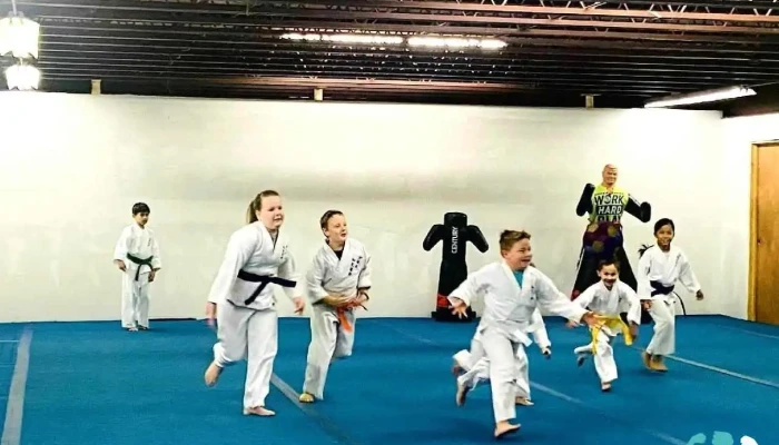 Karate Shorin -  Ryu Westwood Martial Art - Palestine