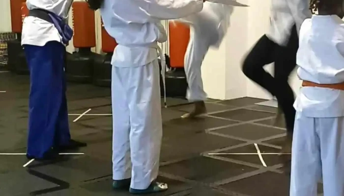Kidz Kick -    Craft Self Defense Karate Community - Waldorf