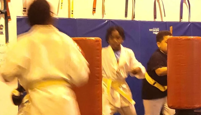 Kidz Kick -    Craft Self Defense Karate Waldorf - Waldorf