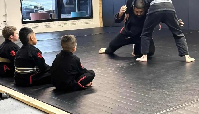 Killer Bee Brazilian Jiu Jitsu -  Martial Art - Abilene