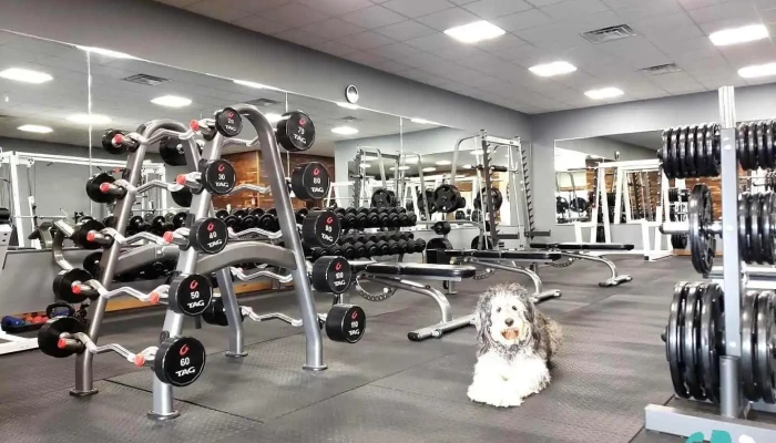 Kopion Fitness - Advance