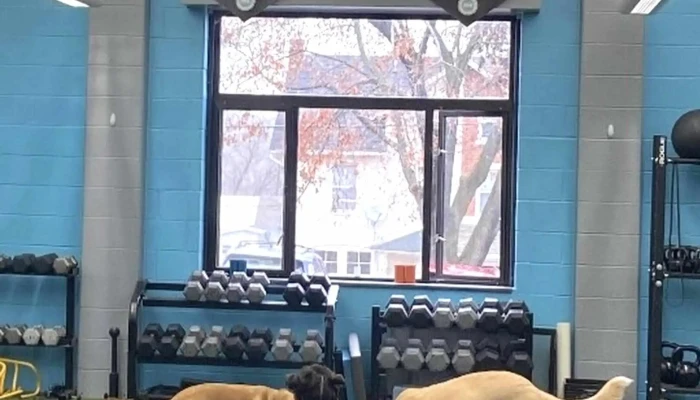 Kyle Myers Fitness - Birdsboro