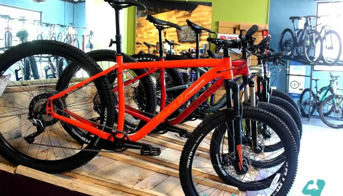 Latitude 45 Bicycles And Fitness -  By Owner - Petoskey