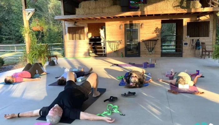 Lazy Dog Acres Yoga Studio -  Yoga - Ehrhardt