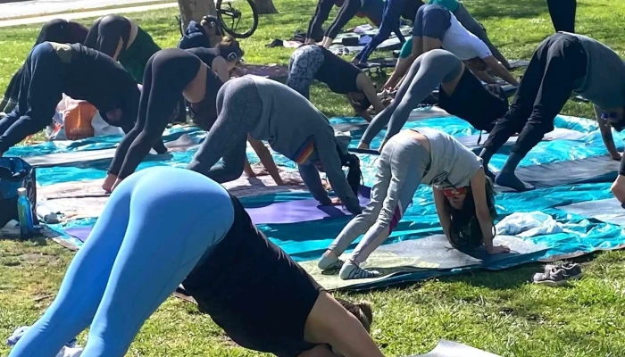 Left Coast Power Yoga -    Laurel Yoga Studio - Oakland
