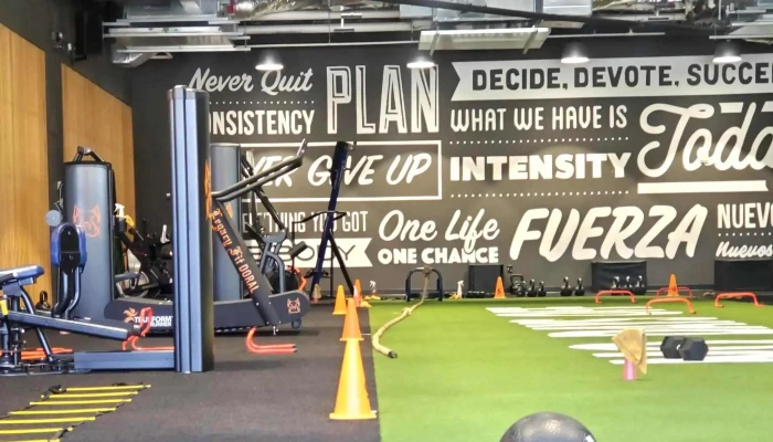 Legacy -  Videos - Doral