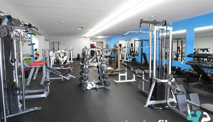 Lets Get Fit Personal Training Llc Physical Fitness - Allen Park