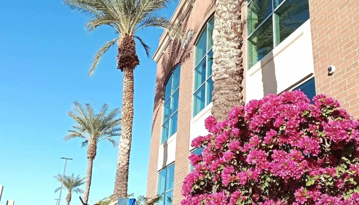 Life Time - Tempe