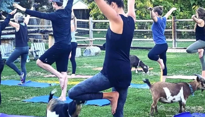 Lively Balance -  Yoga - Boise
