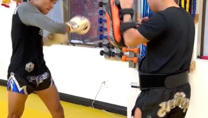 Lotus Thai Boxing -  By Owner - Annandale
