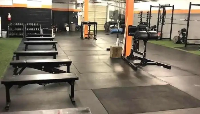Made Strength & Conditioning - Alpha