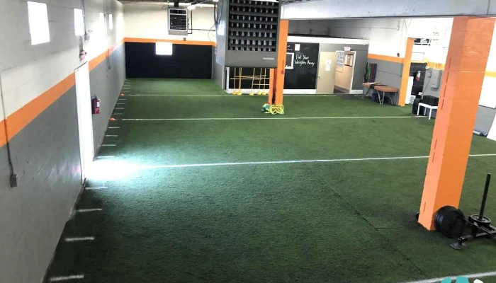 Made Strength Conditioning By Owner - Alpha