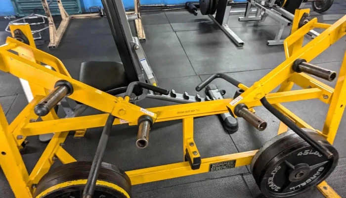 Mandrills Gym Address - Santa Fe