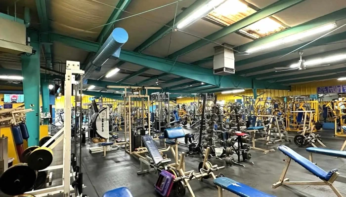 Mandrills Gym Area - Santa Fe
