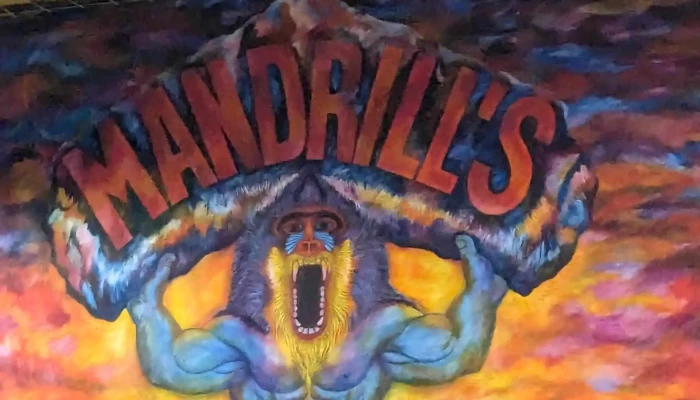 Mandrills Gym Catalog - Santa Fe