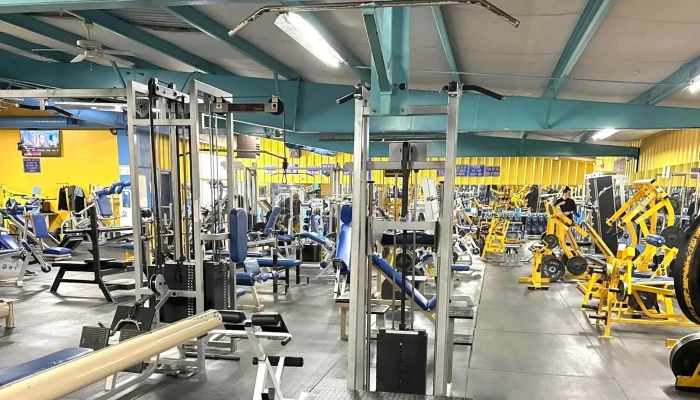 Mandrills Gym Fitness Center - Santa Fe