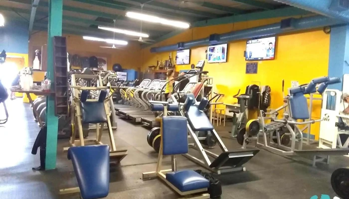 Mandrills Gym Gym - Santa Fe