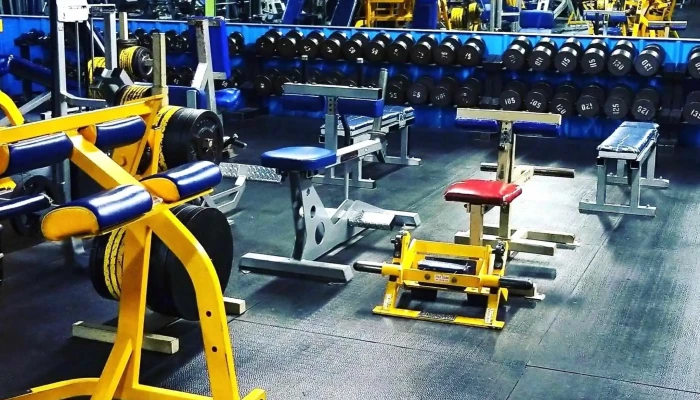 Mandrills Gym Instagram - Santa Fe